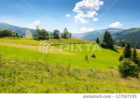 rural landscape of ukraine in summer for travel. transcarpathia region. countryside scenery with green field and trees on the hill. beautiful view of borzhava mountain ridge in the distance 127087193