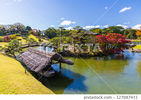 岡山縣岡山市的秋天,日本三大名園,後樂園的紅葉 岡山縣岡山市的秋天,日本三大名園,後樂園的紅葉 127087431