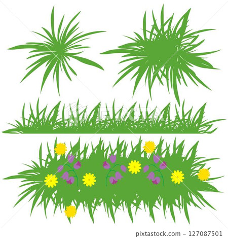 Set of grass on white background Set of grass on white background 127087501