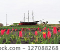 Sarakimisaki Tulip Garden 127088268