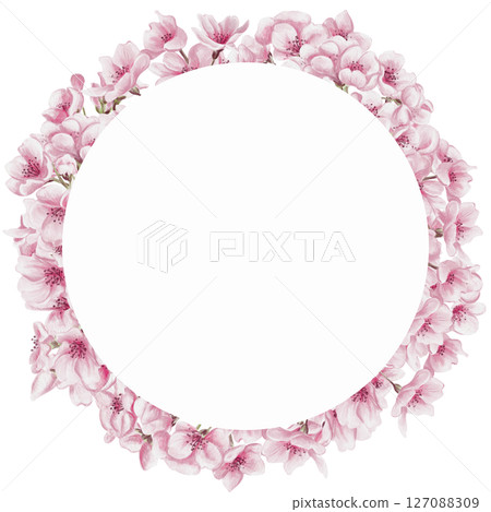 Round wreath with sakura flowers, Cherry blossom. Spring vestival. Pattern with flowers. Pink petals and buds. Watercolor illustration isolated from background. Hand drawing.  127088309