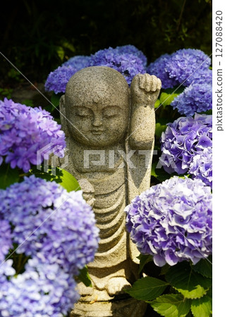 Scenery with flowers Scenery with flowers 127088420