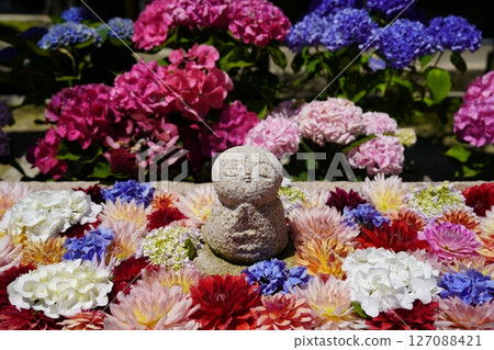 Scenery with flowers Scenery with flowers 127088421