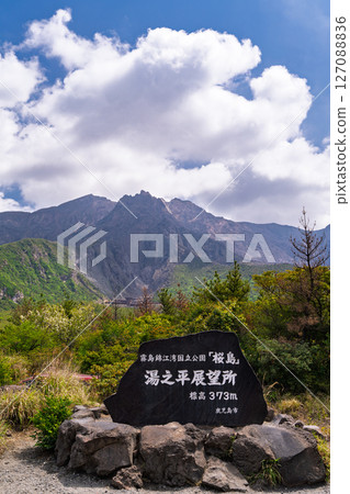 <Kagoshima Prefecture> Yunohira Observatory overlooking Sakurajima 127088836