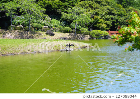 Kasui Lily Garden: Cormorants sunbathing 127089044