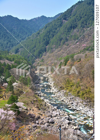 <Nagano Prefecture> Fresh green Nezame-no-Toko 127089107