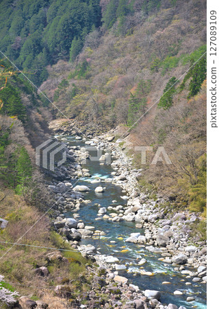 <長野縣> 鮮綠的根目洞 127089109