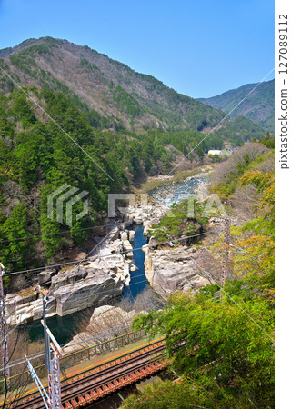 <長野縣> 鮮綠的根目洞 <長野縣> 鮮綠的根目洞 127089112