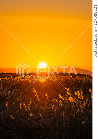Scenery of Hamanasu Hill in Ishikari, Hokkaido 127089221