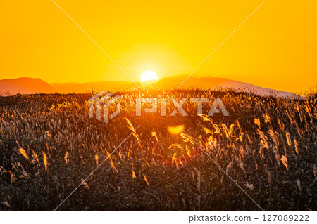 Scenery of Hamanasu Hill in Ishikari, Hokkaido 127089222