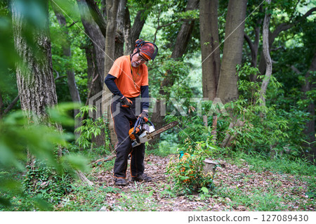 Forestry, felling, work, senior, chainsaw 127089430