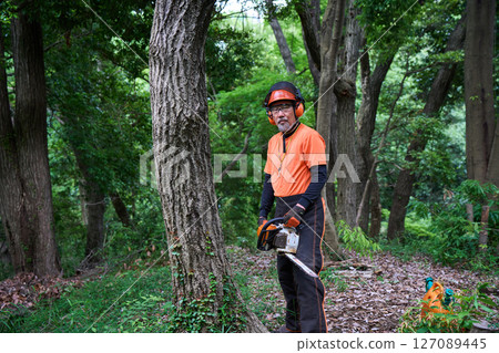 Forestry, felling, work, senior, chainsaw 127089445
