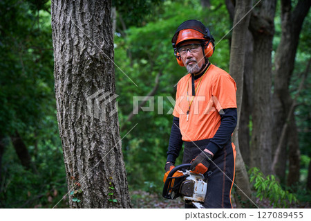 Forestry, felling, work, senior, chainsaw 127089455