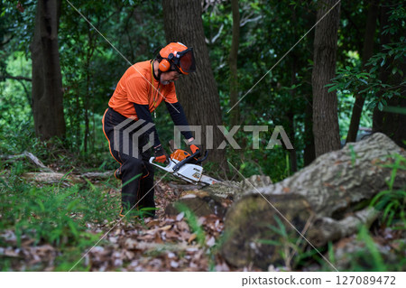 林業、砍伐、工作、高級、鏈鋸 127089472