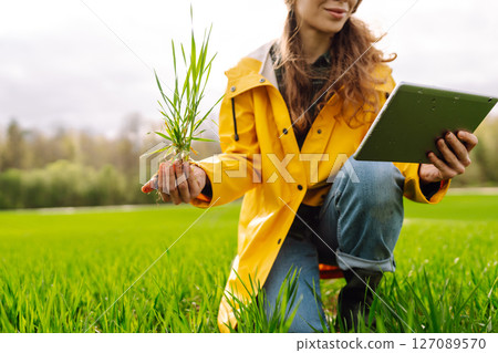 A young farmer woman in a green field, intently using a tablet. The concept of technology, gardening 127089570