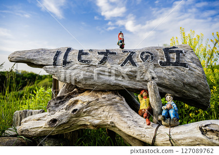 Lupine Hill, Urakawa, Hokkaido 127089762