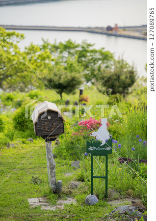 北海道浦川市魯冰花山 127089765