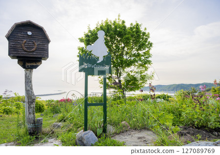 Lupine Hill, Urakawa, Hokkaido 127089769