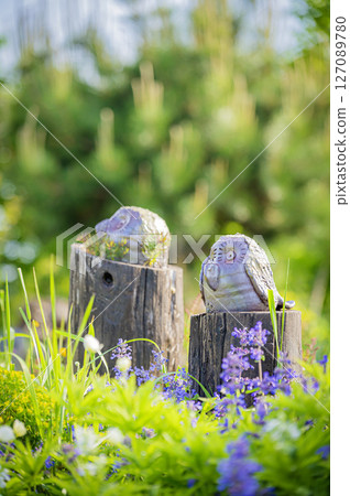 北海道浦川市魯冰花山 127089780