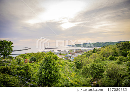 Lupine Hill, Urakawa Town, Hokkaido Lupine Hill, Urakawa Town, Hokkaido 127089883