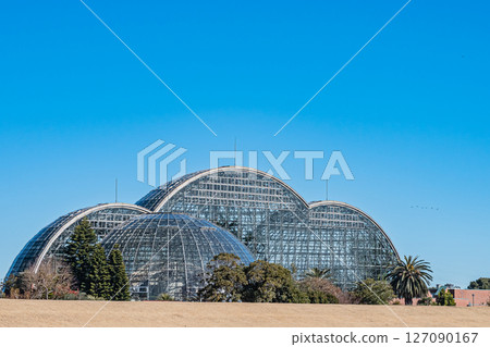 Tokyo Tropical Botanical Garden Scenery 127090167