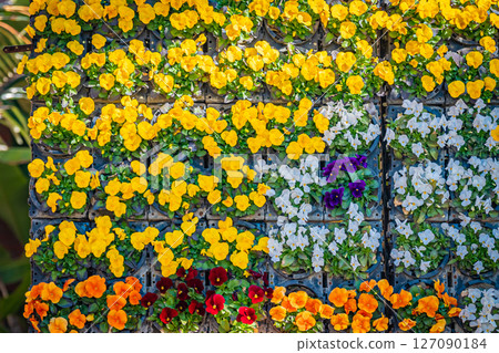Tokyo Tropical Botanical Garden Scenery 127090184