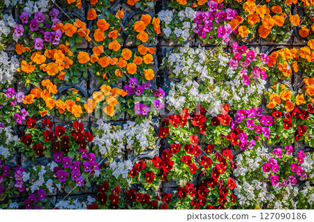 Tokyo Tropical Botanical Garden Scenery 127090186