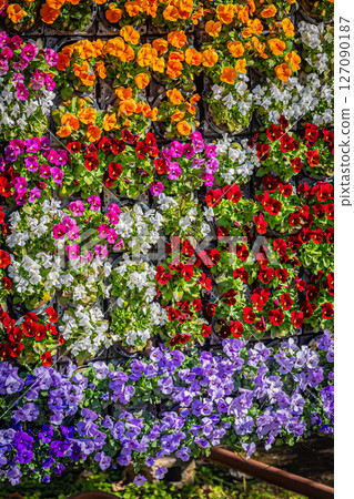 Tokyo Tropical Botanical Garden Scenery 127090187