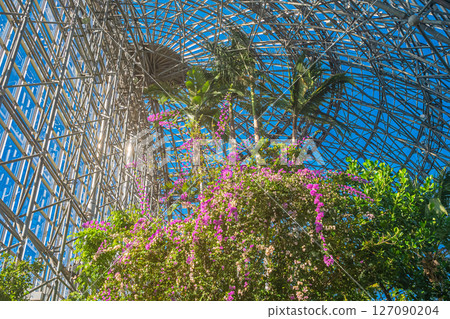 東京熱帶植物園風景 東京熱帶植物園風景 127090204