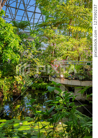 Tokyo Tropical Botanical Garden Scenery 127090237
