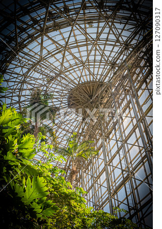 東京夢之島熱帶植物園的風景 東京夢之島熱帶植物園的風景 127090317