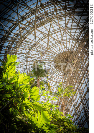 Scenery of the Yumenoshima Tropical Botanical Garden in Tokyo 127090318