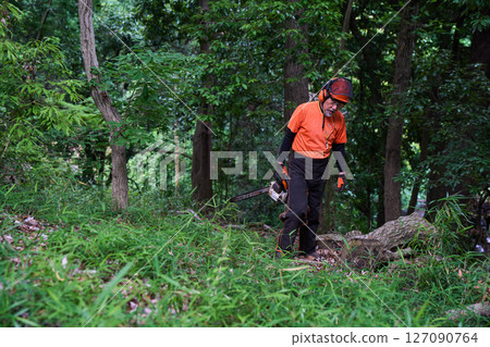 Forestry, felling, work, senior, chainsaw 127090764