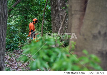 林業、砍伐、工作、高級、鏈鋸 127090771