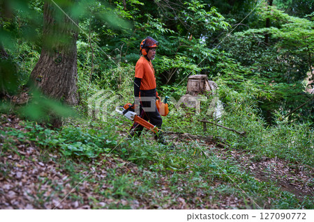 Forestry, felling, work, senior, chainsaw 127090772
