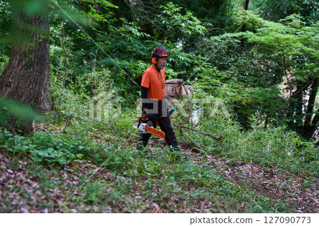 Forestry, felling, work, senior, chainsaw 127090773