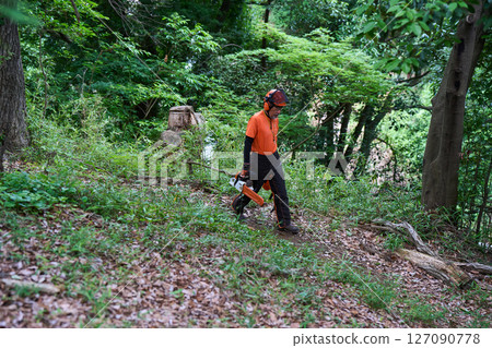 Forestry, felling, work, senior, chainsaw 127090778