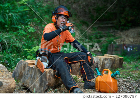 Forestry, felling, work, senior, chainsaw 127090787