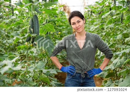 Asian farmer picking cucumbers Asian farmer picking cucumbers 127091024
