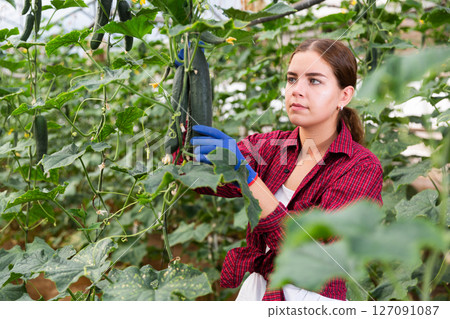 Woman with cucmbers 127091087