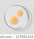 Glass Petri dish with shampoo drops isolated realistic vector illustration 127091329