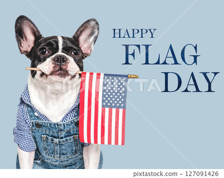 Happy Flag Day. Cute puppy and American Flag 127091426