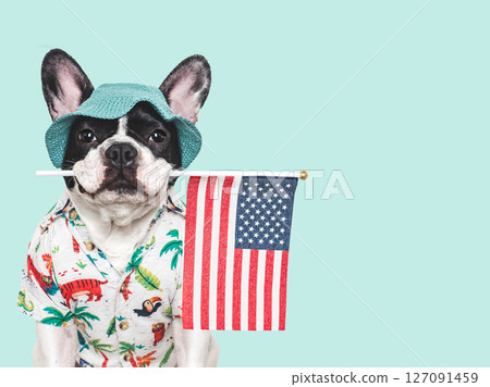 Cute puppy, sun hat and American Flag 127091459