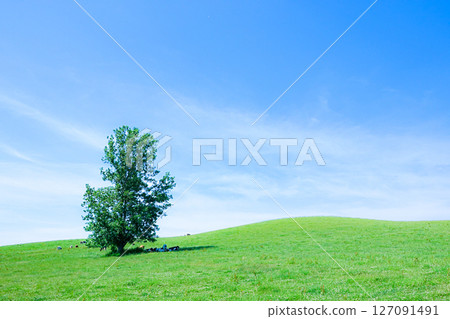 A refreshing scene typical of Hokkaido in summer 127091491