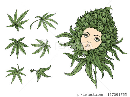 Vector set of cannabis leaves 127091765