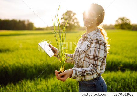 Technology of modern agriculture. Harvesting. Concept of ecology, gardening. Technology of modern agriculture. Harvesting. Concept of ecology, gardening. 127091962