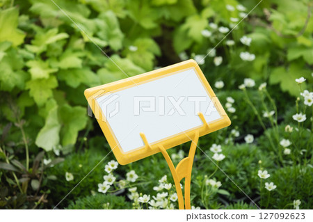 Yellow plant name plate in nursery around different varietal flowers. Close up. Space for text. 127092623