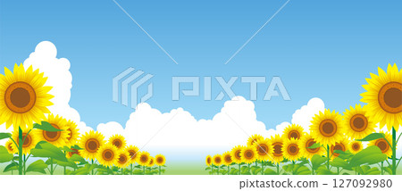 Sunflowers and cumulonimbus clouds in the summer sky 03 Sunflowers and cumulonimbus clouds in the summer sky 03 127092980