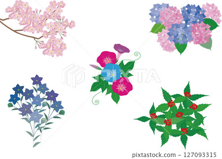 Illustrations of flowers representing the Japanese seasons: spring, summer, autumn and winter Illustrations of flowers representing the Japanese seasons: spring, summer, autumn and winter 127093315