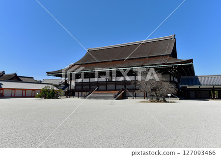 京都故宮的紫色寺廟 127093466
